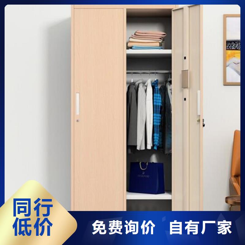 嘉祥两门铁皮柜定制