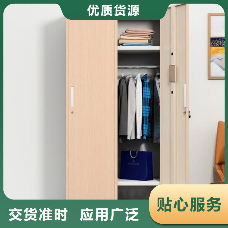 铁皮文件柜定制