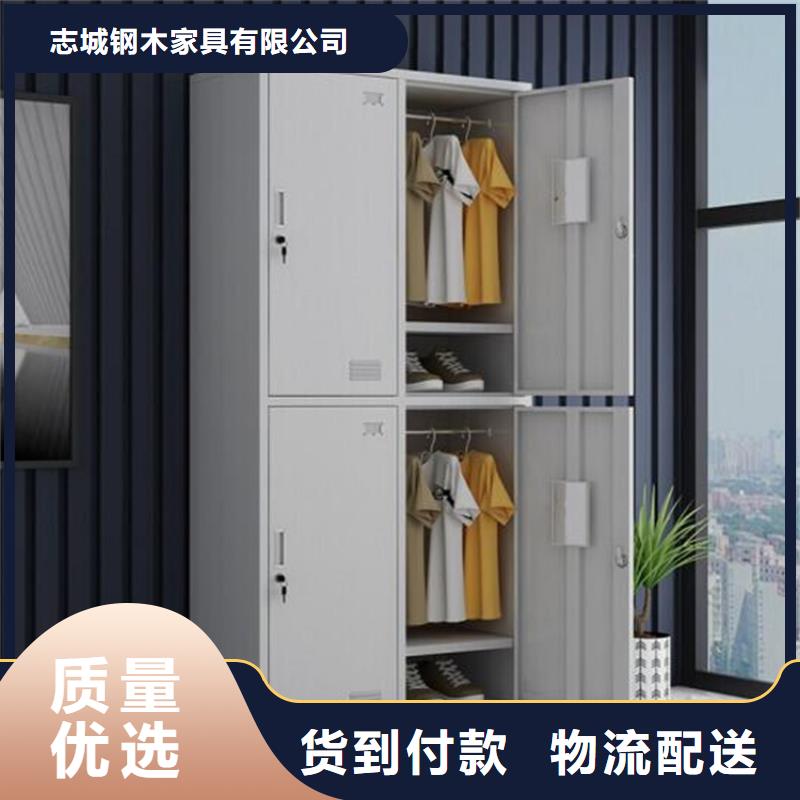 铁皮文件柜定制