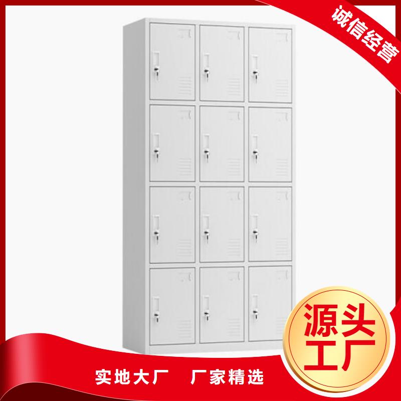 嘉祥两门铁皮柜定制