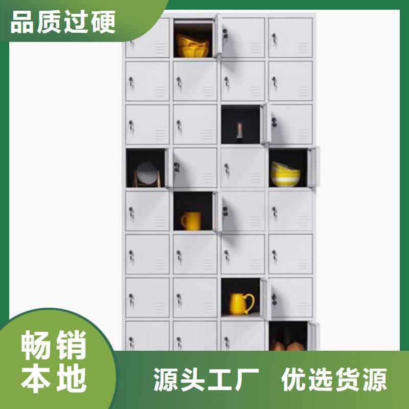 广灵两门铁皮柜定制