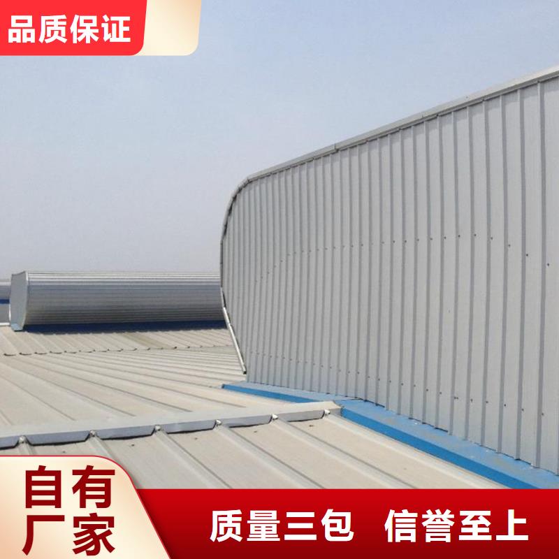 D型圆拱固定型采光天窗团队
