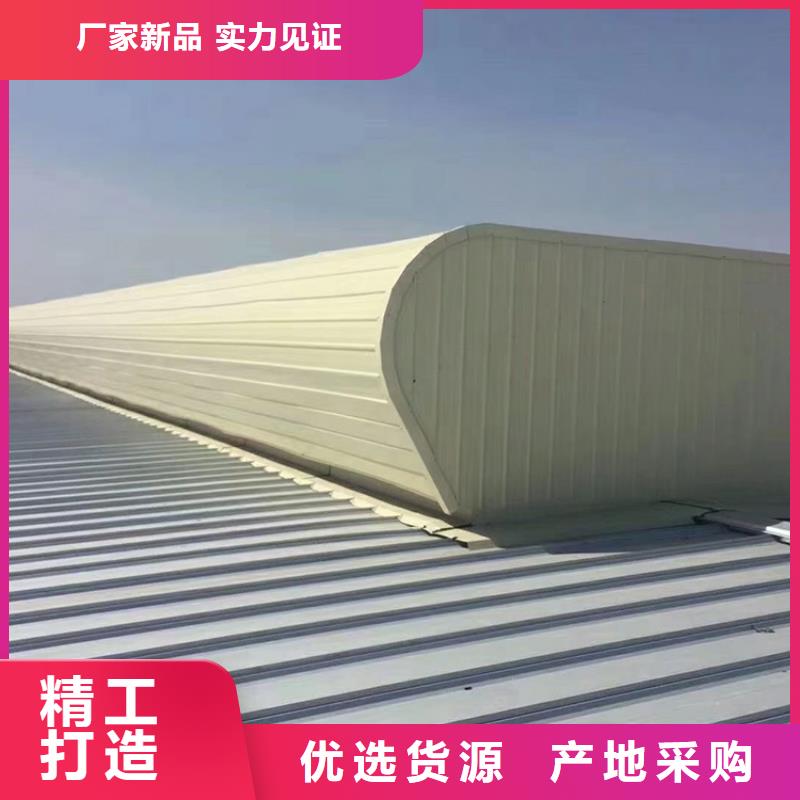 防雪型通风天窗选材放心