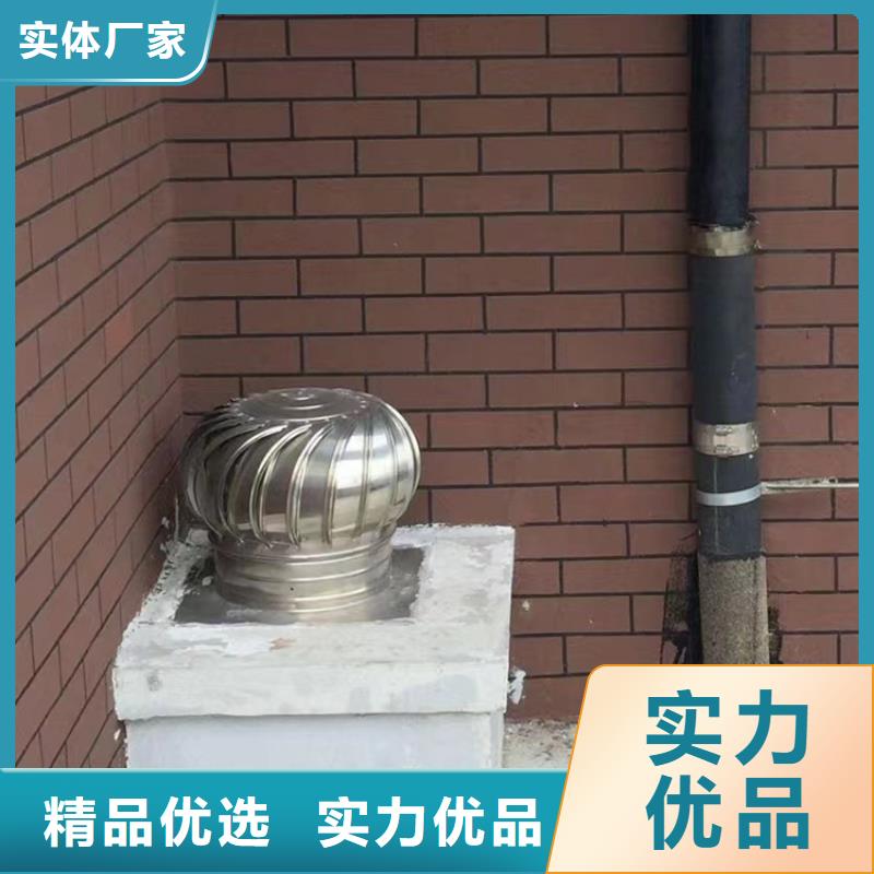 洛龙区楼顶防雨固定式风帽来尺定做