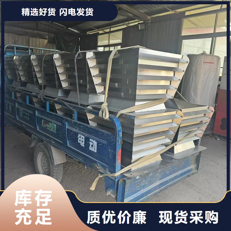 F-FM-WM300型风帽工厂直销