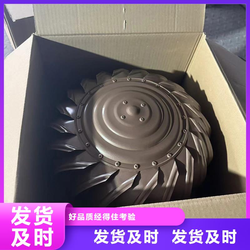 C系列防倒灌风帽供应商