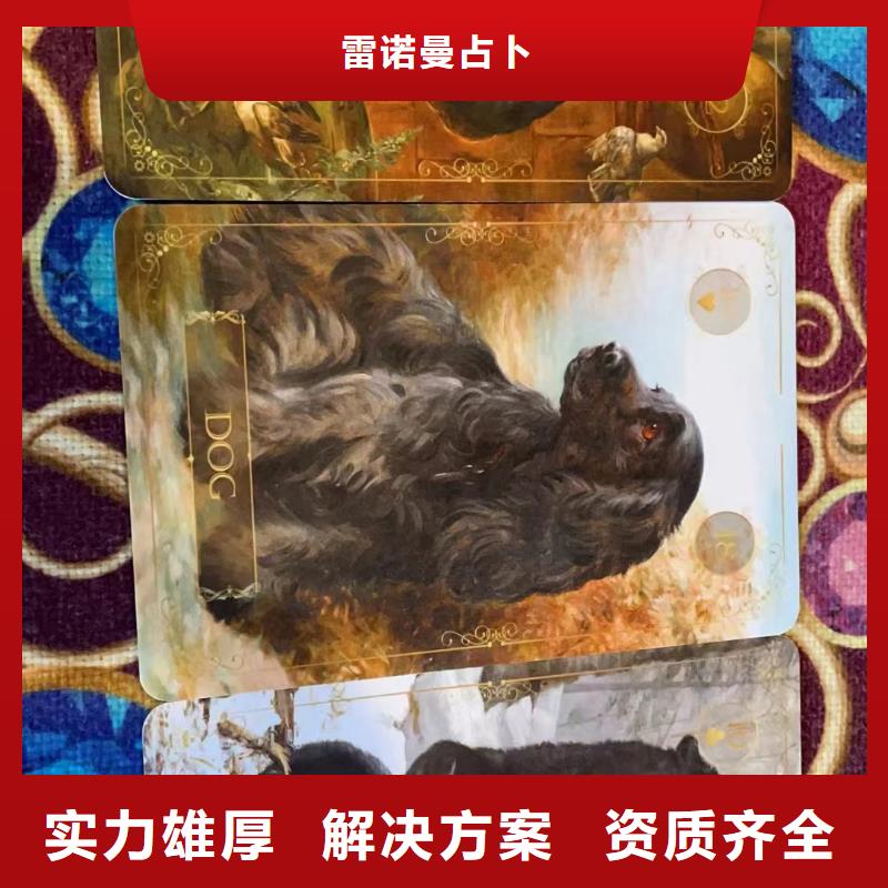 塔罗占卜专业团队