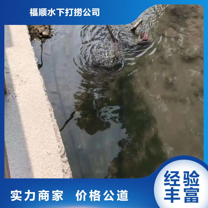 重庆市南岸区





水下打捞尸体




在线服务