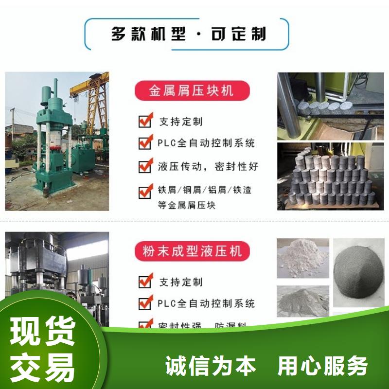 铁屑压块机厂家来图定制