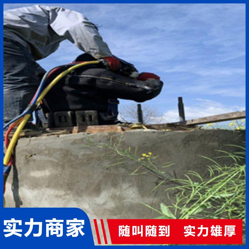 生化池潜水员维修支持定制