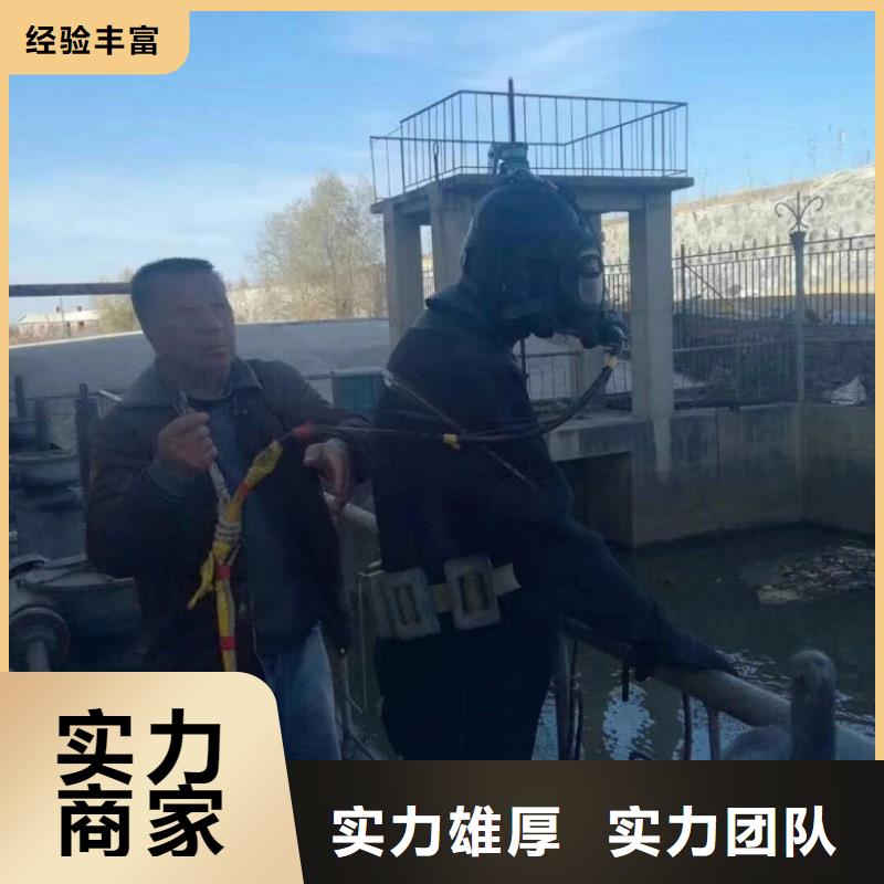 价格合理的生化池蛙人更换曝气盘经销商