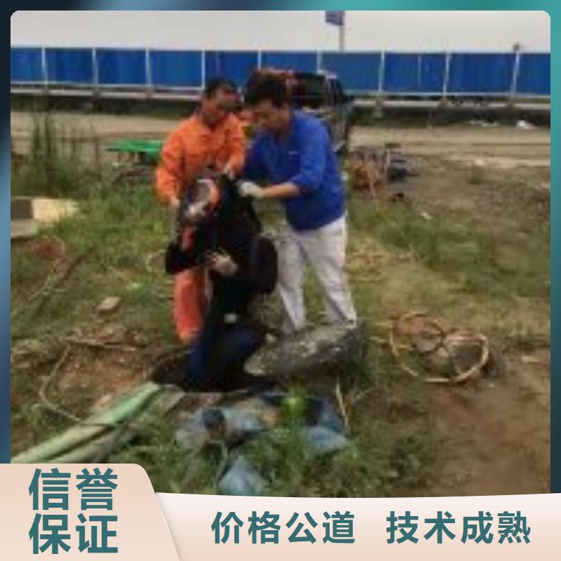 潜水员水下摄影合作共赢