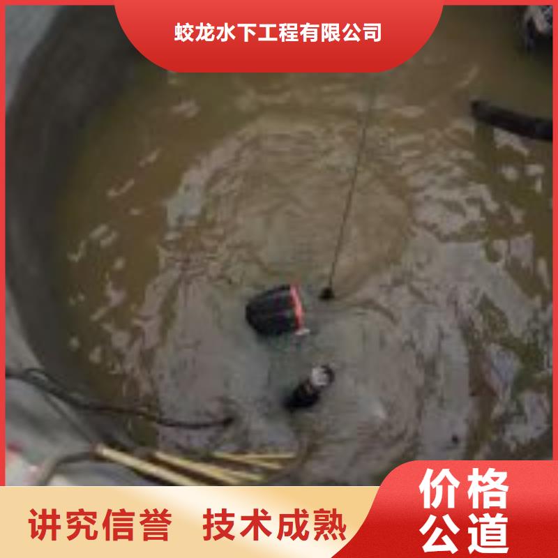 水下打捞队市场价格