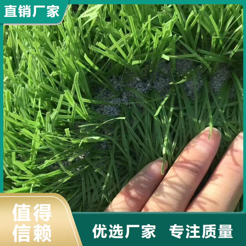 欢迎光临—人造草坪石英砂—实业公司