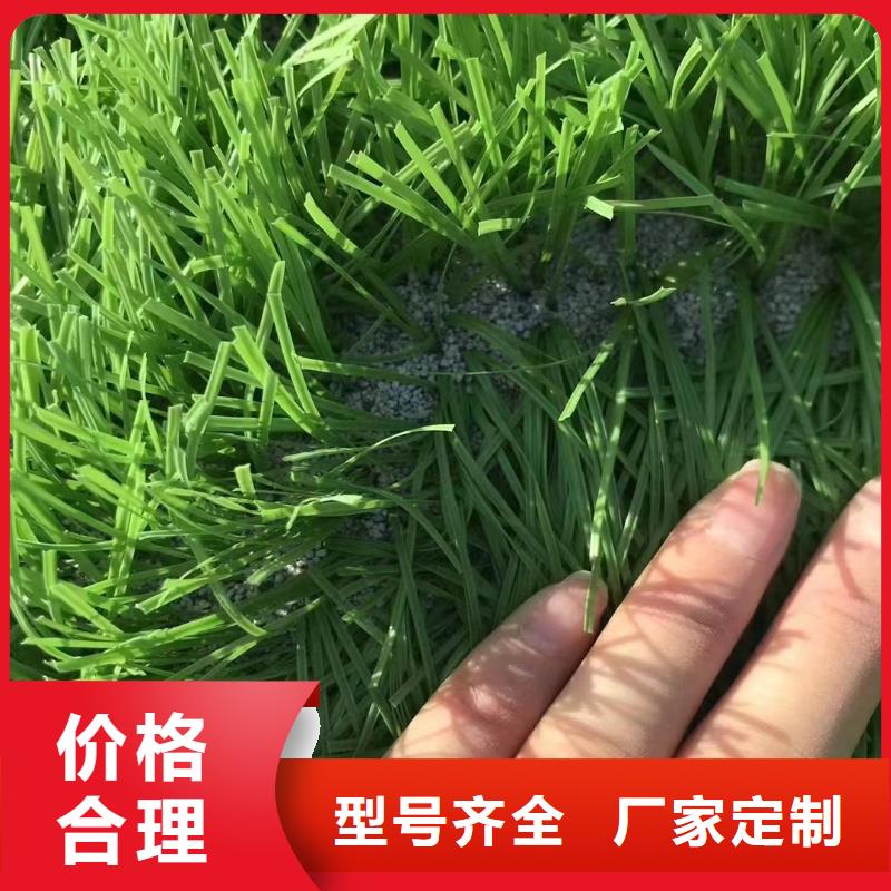 果壳滤料