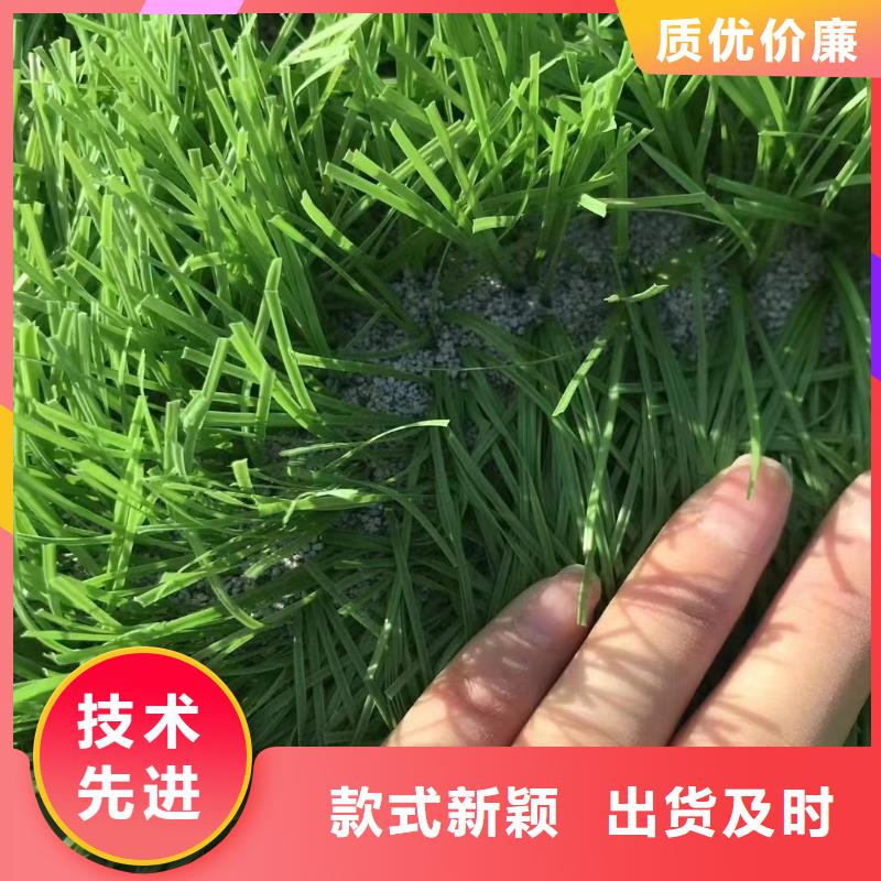 欢迎光临——鹅卵石——矿业有限公司