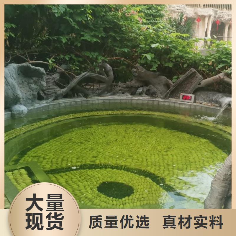 再生过滤器高精度设备厂家