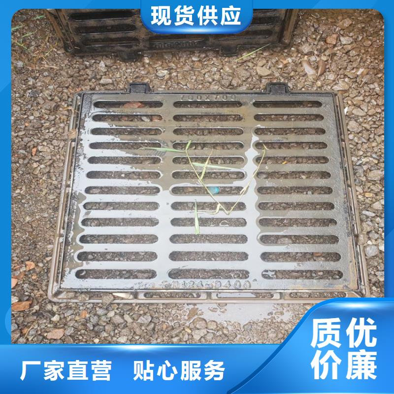 供应小区绿化带球墨铸铁井盖的厂家