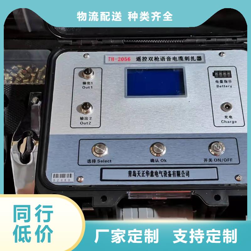找无线高压电缆漏电检测仪-实体厂家可定制