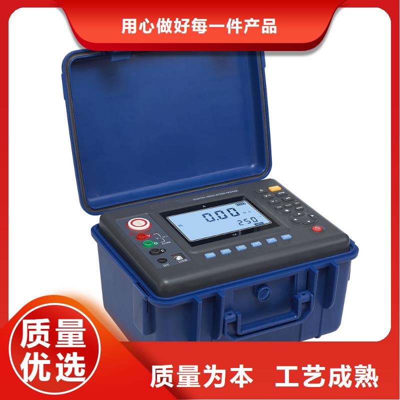 智能双显绝缘电阻测试仪