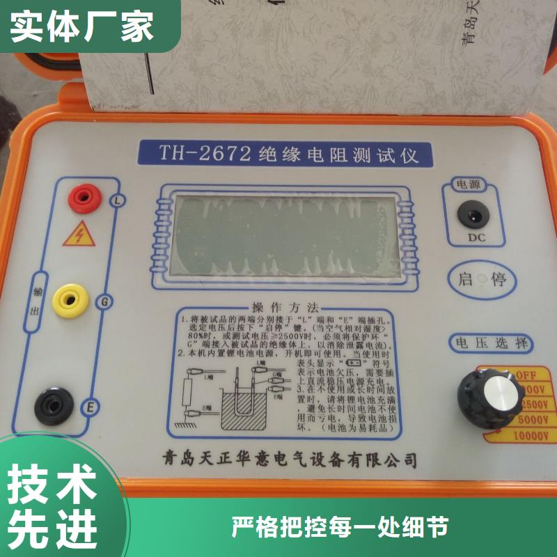 智能双显绝缘电阻测试仪