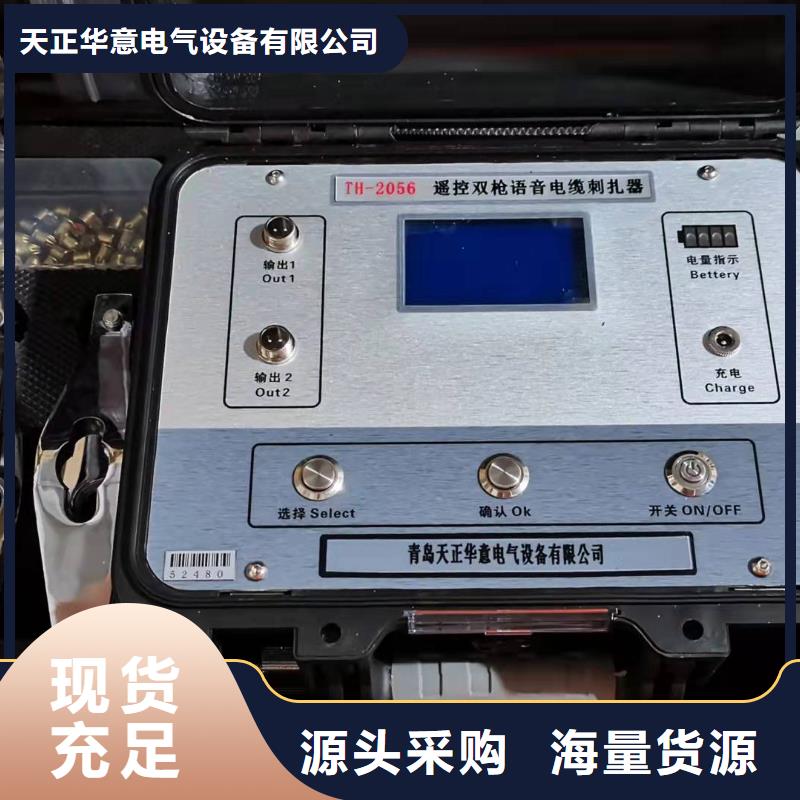 管道防腐层检测仪欢迎订购