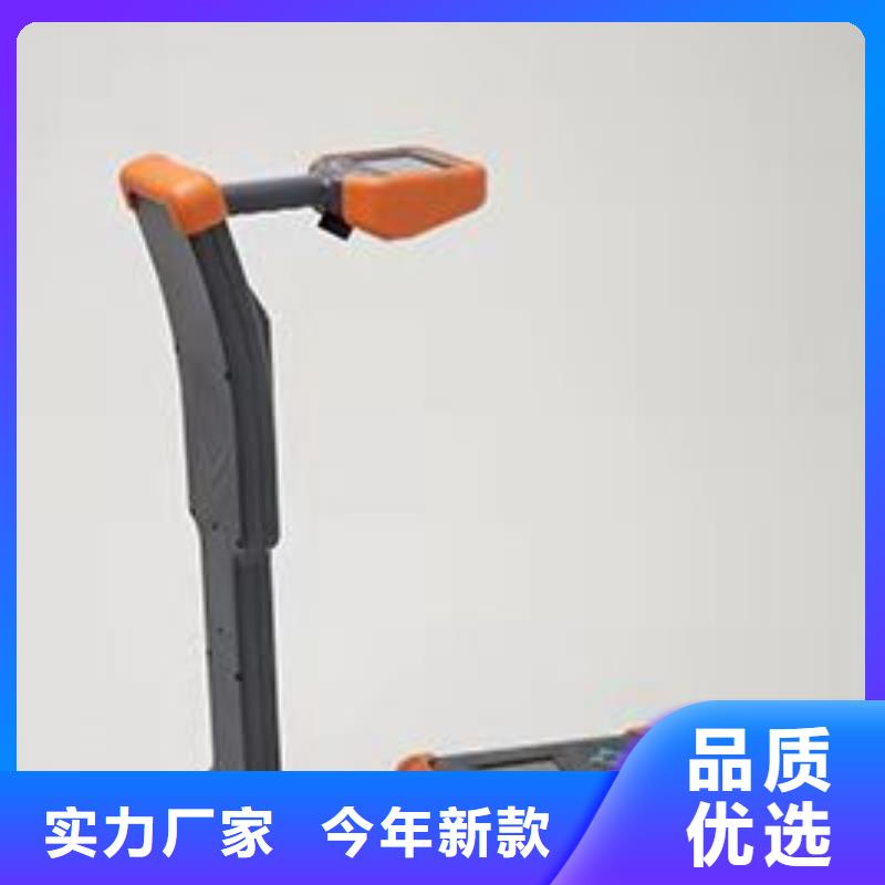 电缆故障探测仪【蓄电池充放电测试仪】生产型