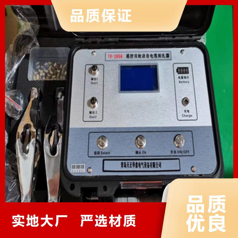 架空线小电流接地测试仪性能可靠