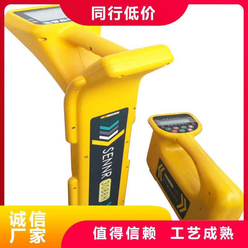 地下电缆管线探测仪,励磁系统开环小电流测试仪全新升级品质保障