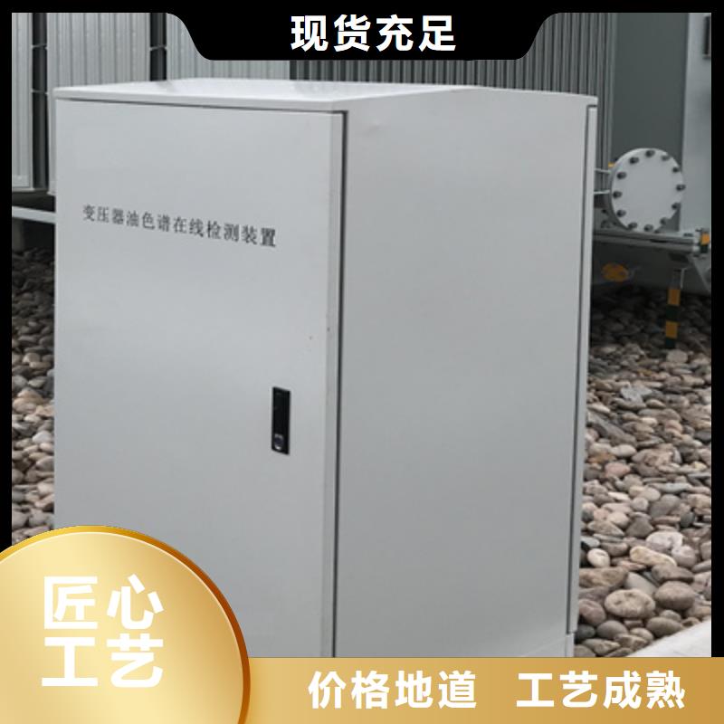 便携式在线过程气相色谱仪来厂考察