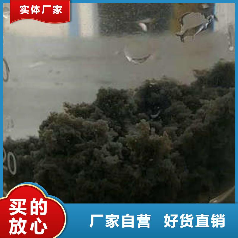 COD去除剂生产厂家厂家好口碑