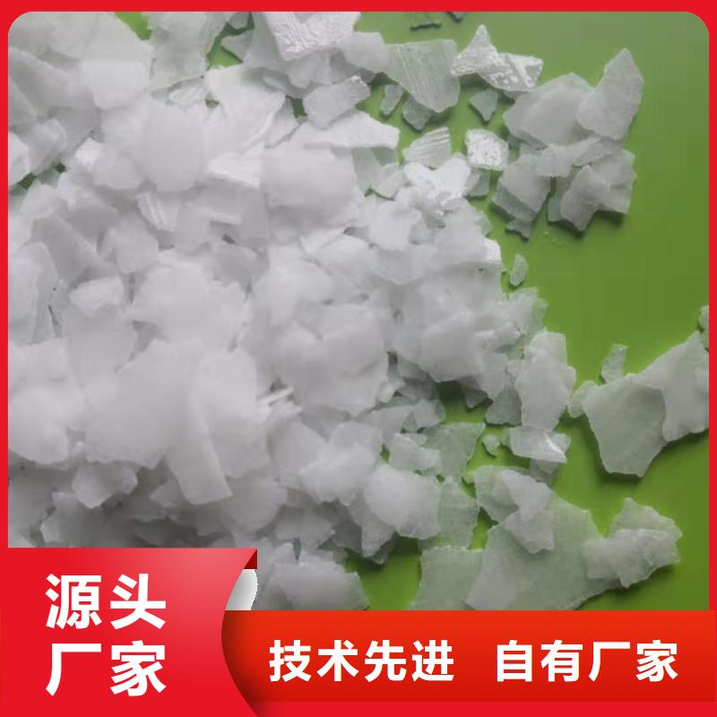 氨氮去除剂队伍