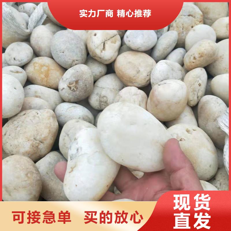 氨氮去除剂厂家-用的放心