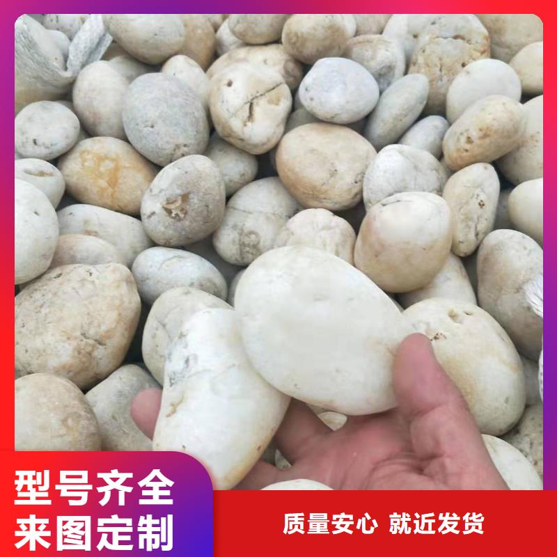 氨氮去除剂生产厂家