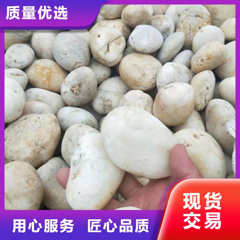 氨氮去除剂价格期待您的咨询