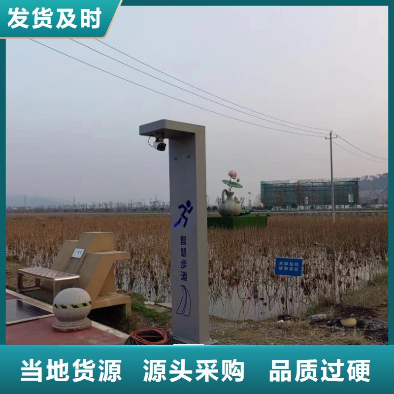 智慧赛道价格（维艾狄尔）