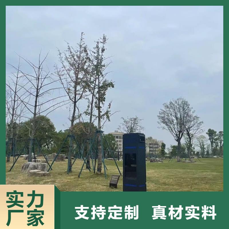 智能步道解决方案（支持定制）