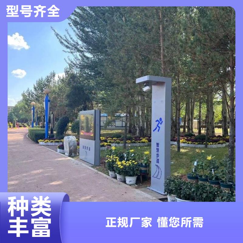 ai智能公园解决方案（维艾狄尔）