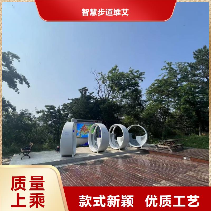 景区智慧导览厂家（维艾狄尔）