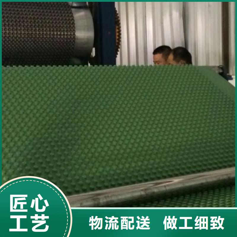 排水板直供厂家