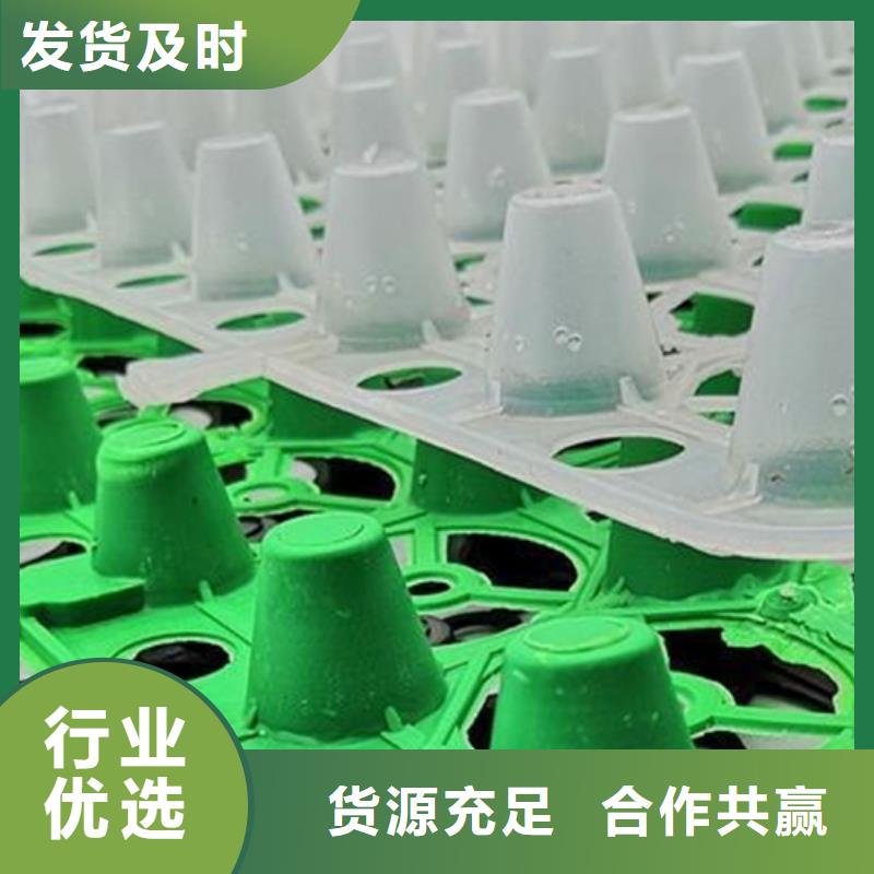 塑料排水板-高分子排水异形片公司