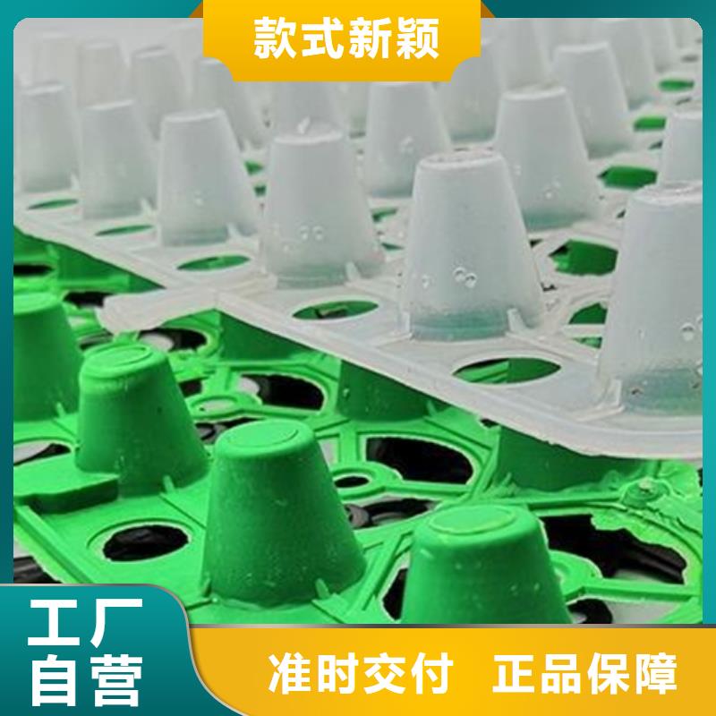 排水板植草格实地大厂