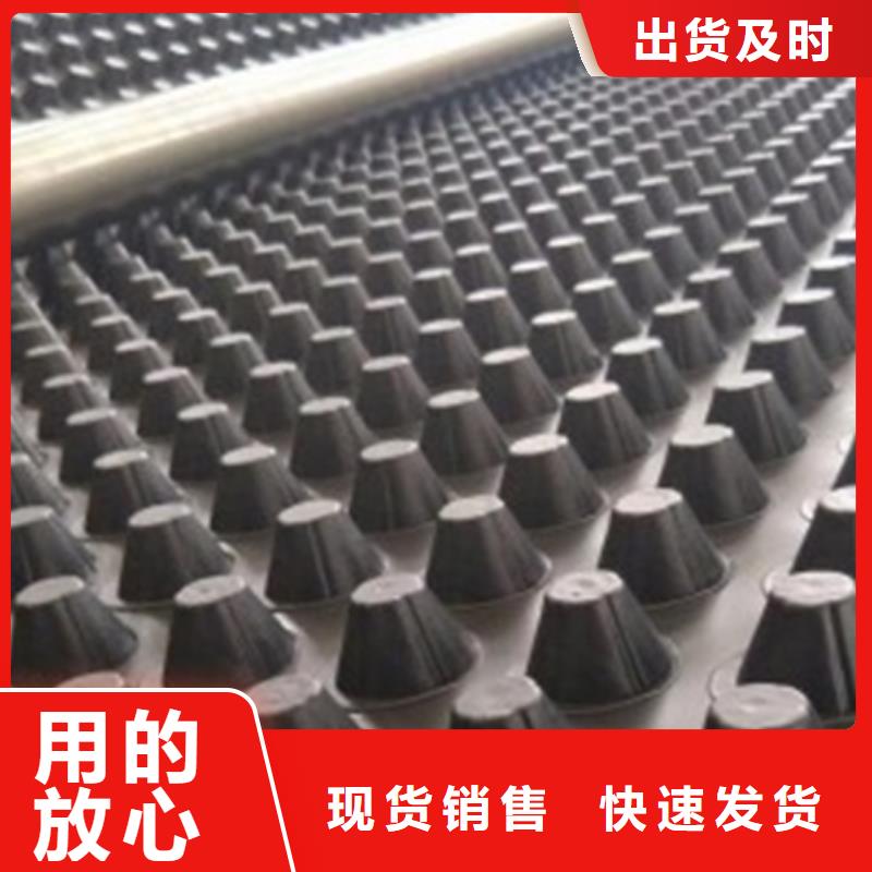 塑料排水板工厂直营