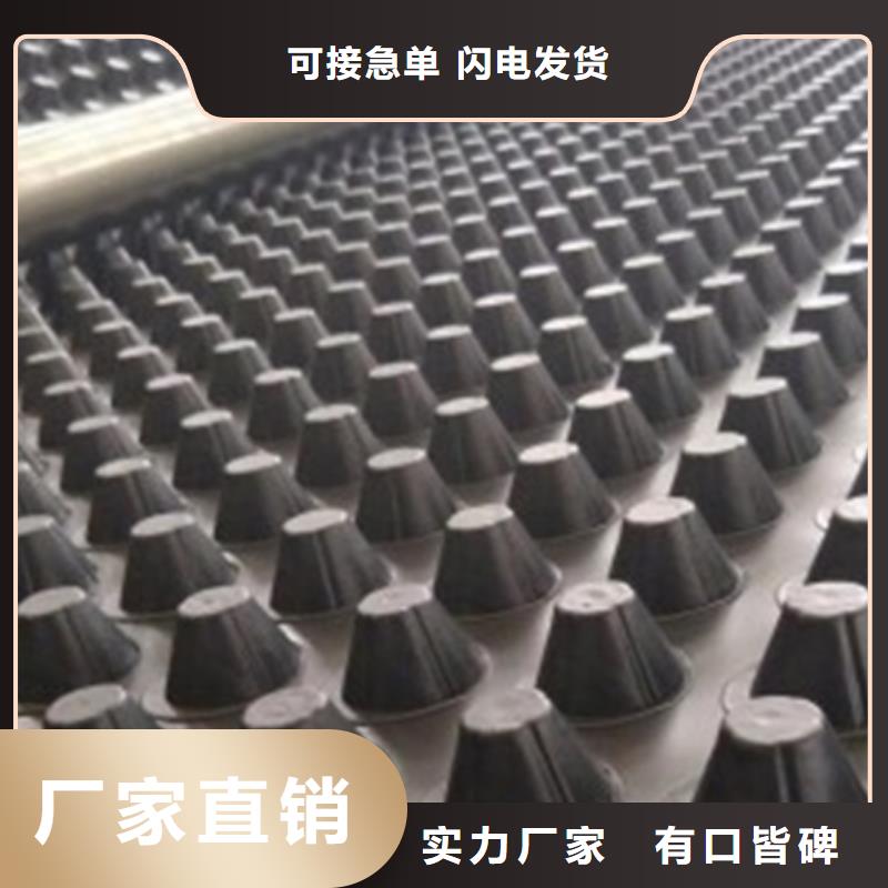 排水板价格
