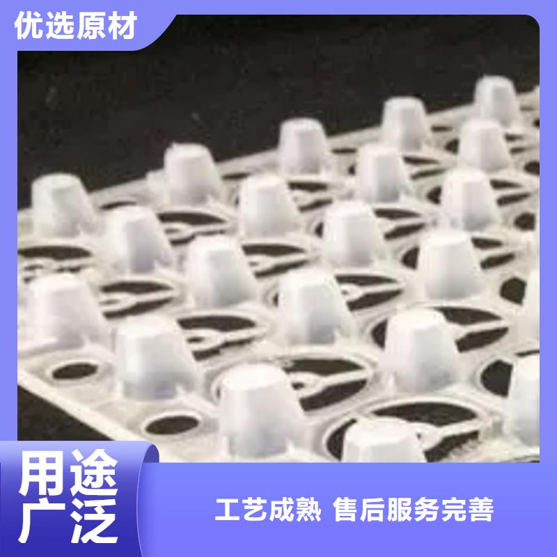 排水板-朋联工程全国发售