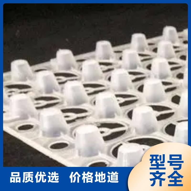 塑料排水板行情价2025