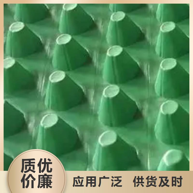 排水板型号齐全