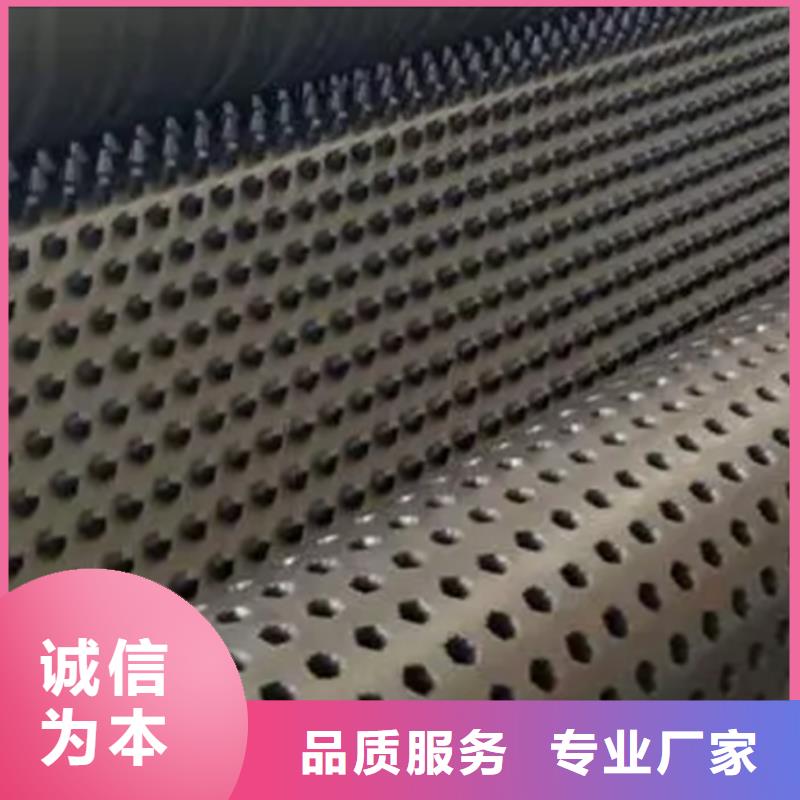 排水板,车库虹吸排水系统质检严格放心品质