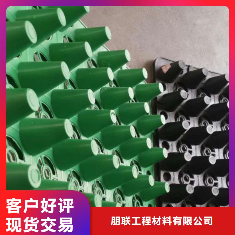蓄排水板厂家欢迎您