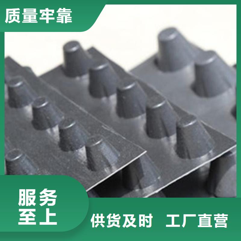 排水板价格